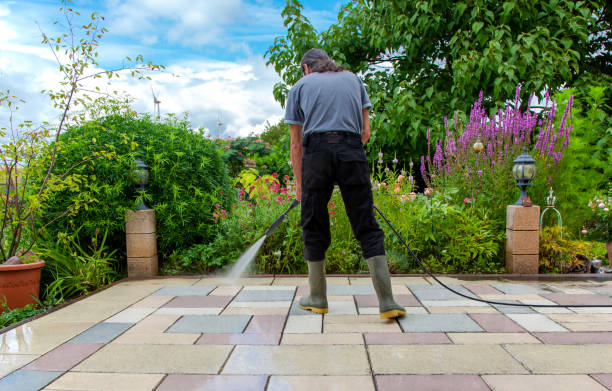 Best Winterizing Services  in Lumbine, CO
